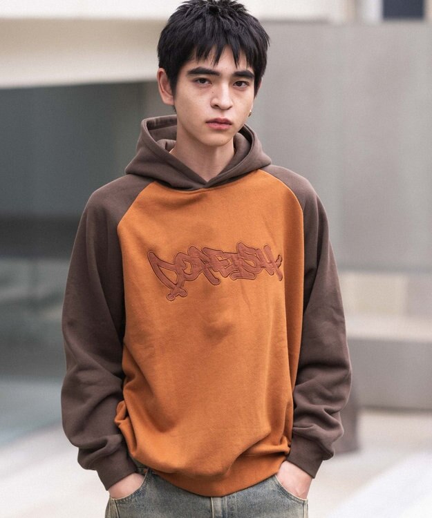 WEGO ラグランプルパーカー ブラウン