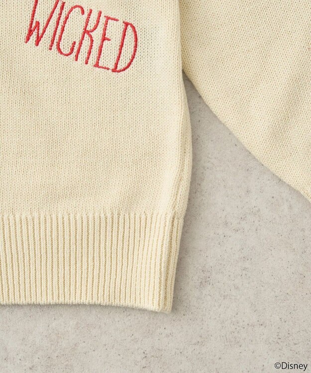 earth music&ecology Ｖｉｌｌａｉｎｓ　クルエラ／ニットカーディガン Ivory