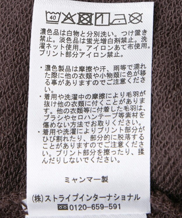 AMERICAN HOLIC アソートカレッジロゴ裏毛プルオーバー Brown