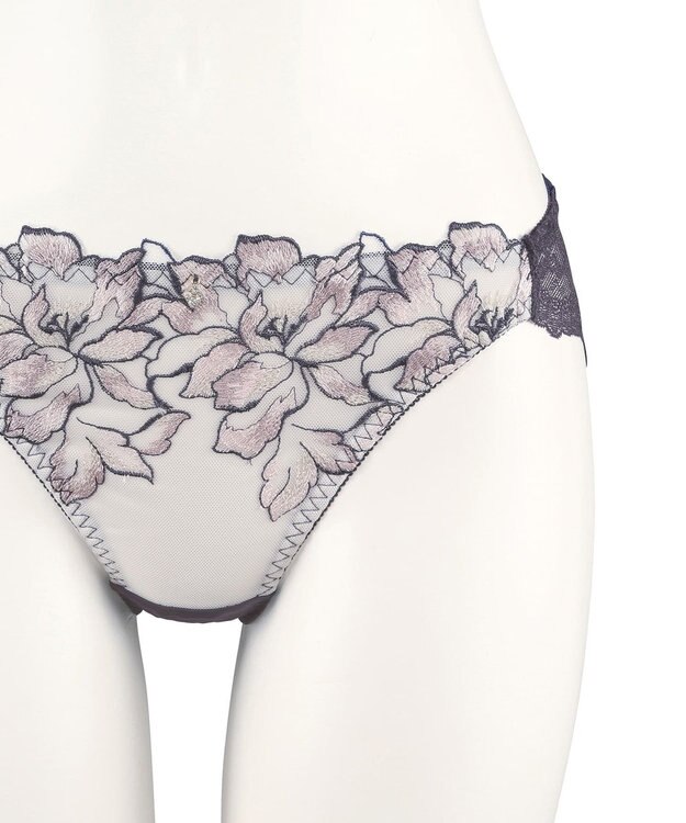 San-ai Resort（三愛水着楽園） エレガントコレクション【2411】ノーマルショーツ 【northerly】 グレー