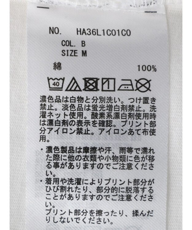 AMERICAN HOLIC フォトプリント半袖カットプルオーバー B