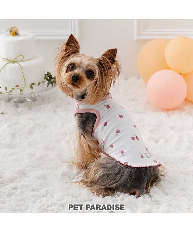 PET PARADISE ペットパラダイス はじめて タンクトップ 《いちご》 小型犬 ホワイト