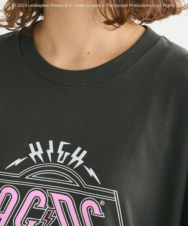 Green Parks ＡＣＤＣ／ＲＯＣＫ　ＴシャツⅡ Black