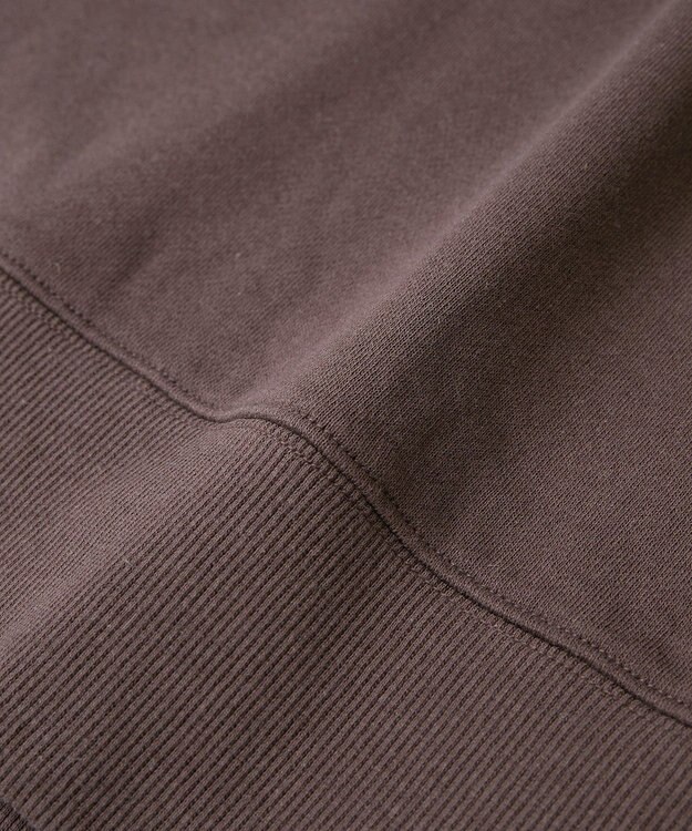 AMERICAN HOLIC アソートカレッジロゴ裏毛プルオーバー Brown