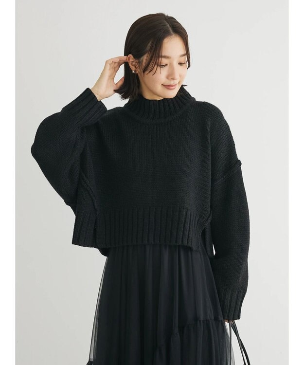 Green Parks ・ＳＵＧＡＲ　ＳＰＯＯＮ　ハイネックショートニット Black