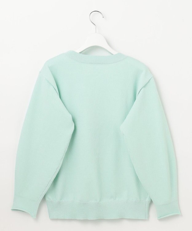 自由区 【WEB限定カラーあり・洗える】コットンナイロンミドルゲージ ニット ミント