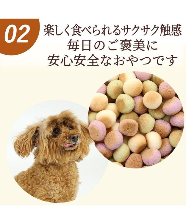 PET PARADISE 野菜ミックス ボーロ 160g   国産 大袋 -