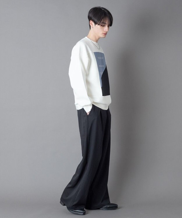 WEGO カラーパネルプルオーバー ホワイト