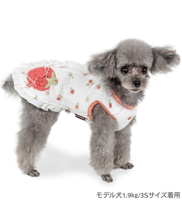 PET PARADISE ペットパラダイス ふわりと キルトベスト 《いちご》 超小型犬 小型犬 ホワイト