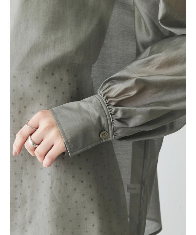 Green Parks AnriettMusee シアーボリュームスリーブブラウス Gray