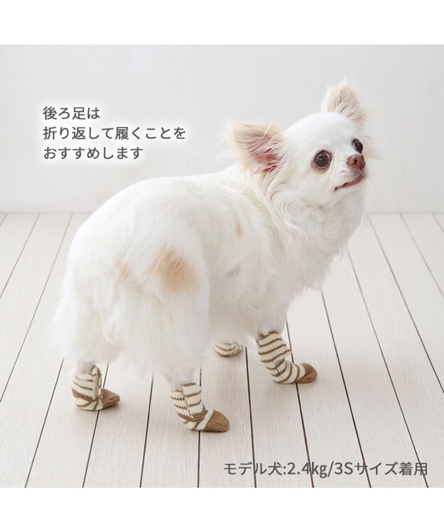 PET PARADISE ペットパラダイス makokoro スリット 靴下 《ボーダー》 ３Ｓ 小型犬 ボーダー