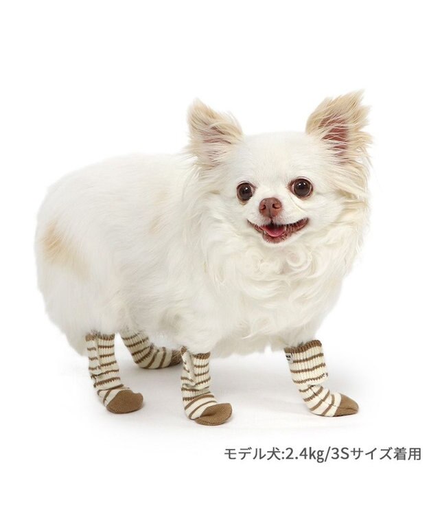 PET PARADISE ペットパラダイス makokoro スリット 靴下 《ボーダー》 ３Ｓ 小型犬 ボーダー