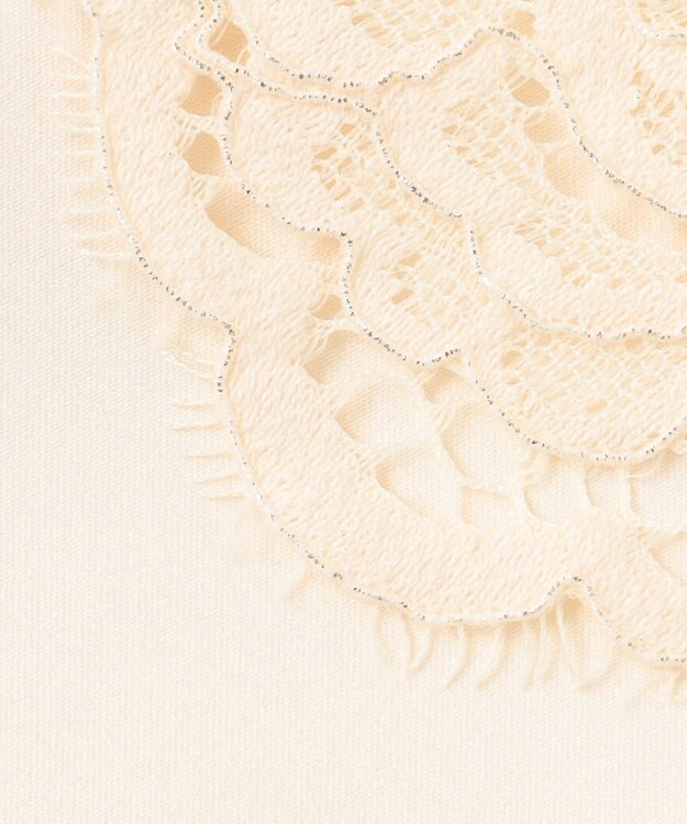 23区 L 【APPLAUDIR】シャイニーレース ドレス シャンパン