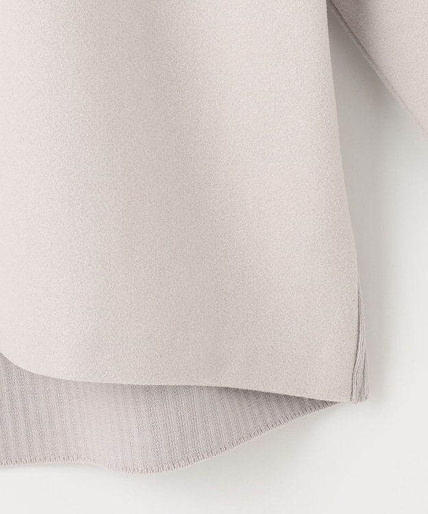 J.PRESS LADIES ニードルパンチ ハイネック カットソー ベージュ系