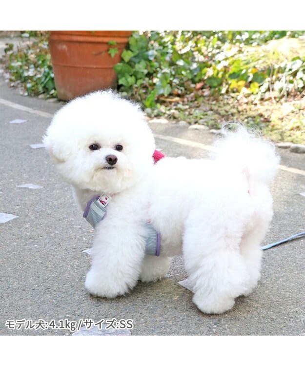 PET PARADISE ディズニー トイ・ストーリー ロッツォ マスコット付き ハーネス ＳＳ 小型犬 -