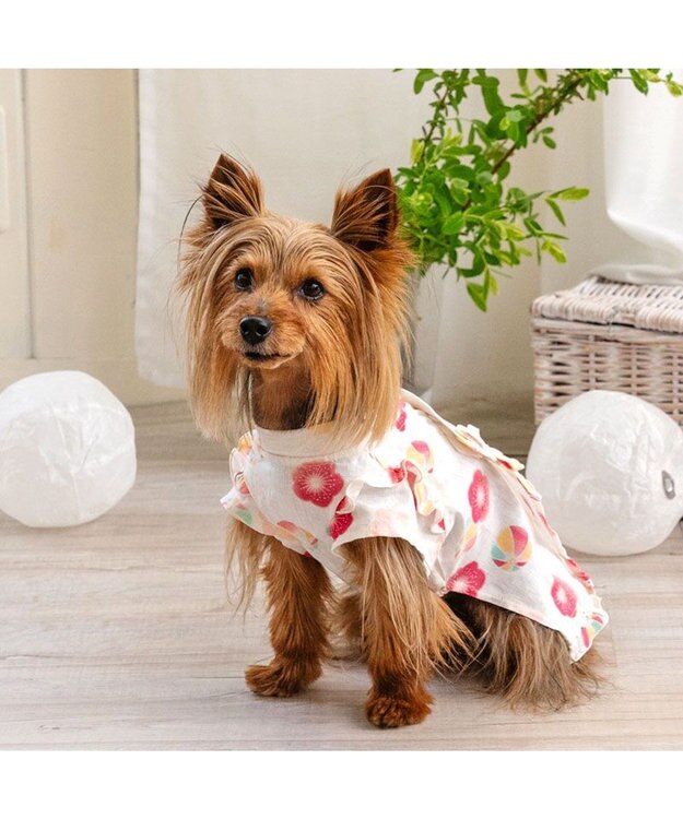 PET PARADISE ペットパラダイス 甚平《梅てまり柄》　小型犬 ホワイト×レッド
