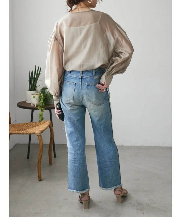 Green Parks AnriettMusee シアーボリュームスリーブブラウス Beige