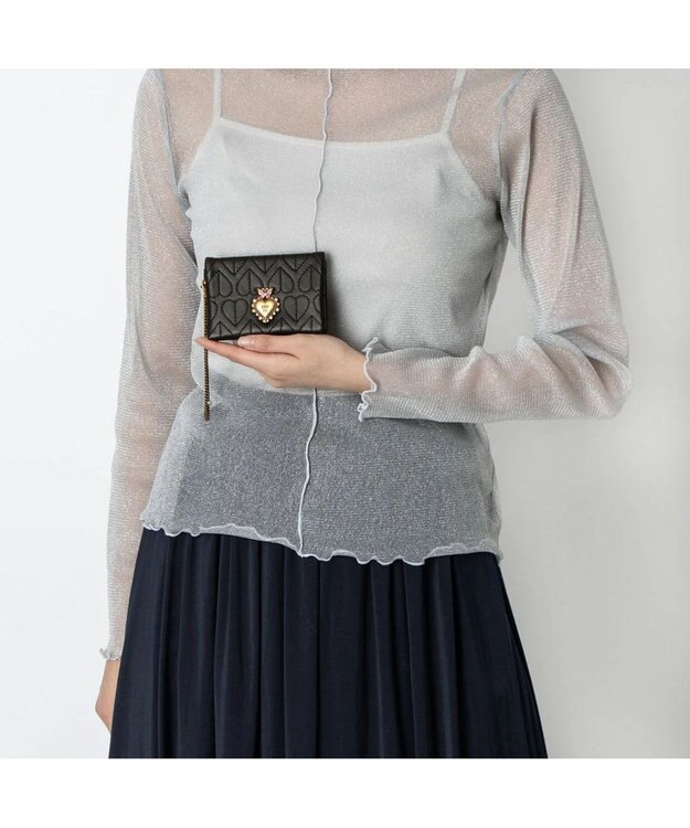 ANNA SUI ドリーミー 二面パスケース クロ