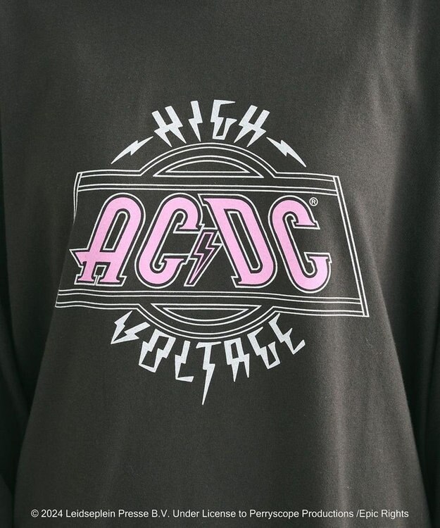 Green Parks ＡＣＤＣ／ＲＯＣＫ　ＴシャツⅡ Black