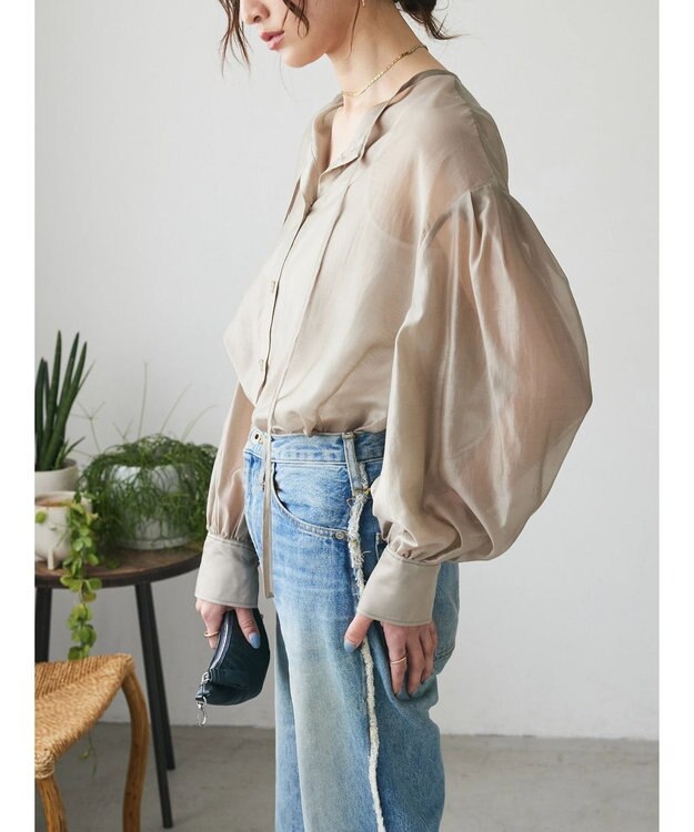 Green Parks AnriettMusee シアーボリュームスリーブブラウス Beige