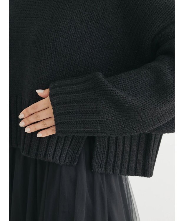 Green Parks ・ＳＵＧＡＲ　ＳＰＯＯＮ　ハイネックショートニット Black