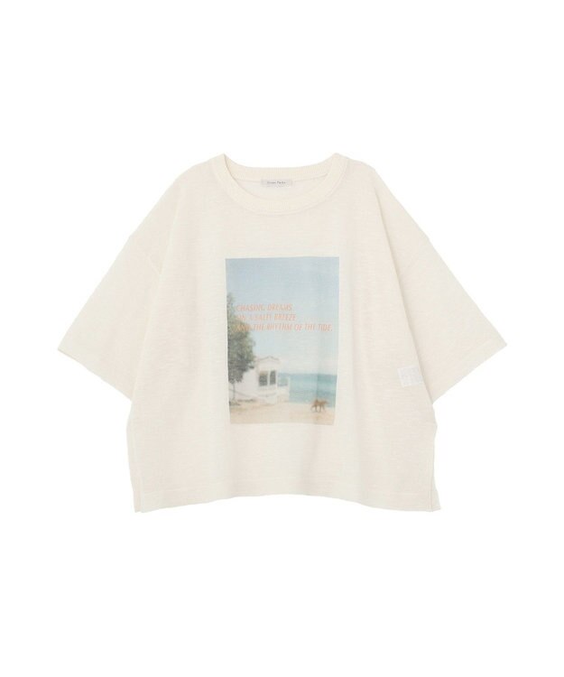 Green Parks フォトニットプルオーバー White