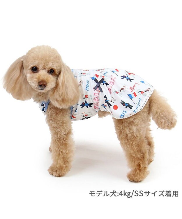 PET PARADISE リサとガスパール エコメイド 天竺 ワンピース 《パリ柄》 小型犬 パリ柄