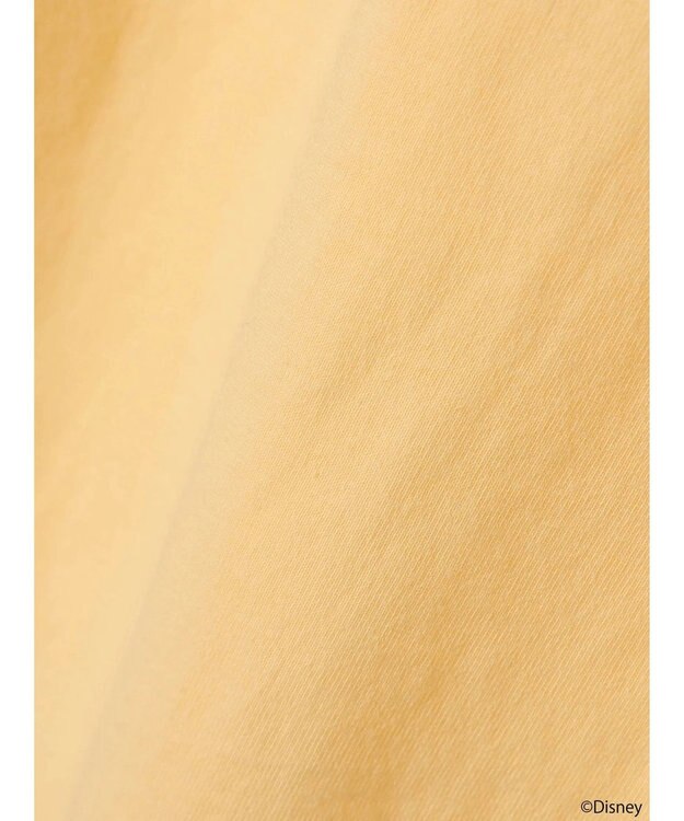 earth music&ecology Ｄｉｓｎｅｙ／袖ダイナロンＴ Yellow