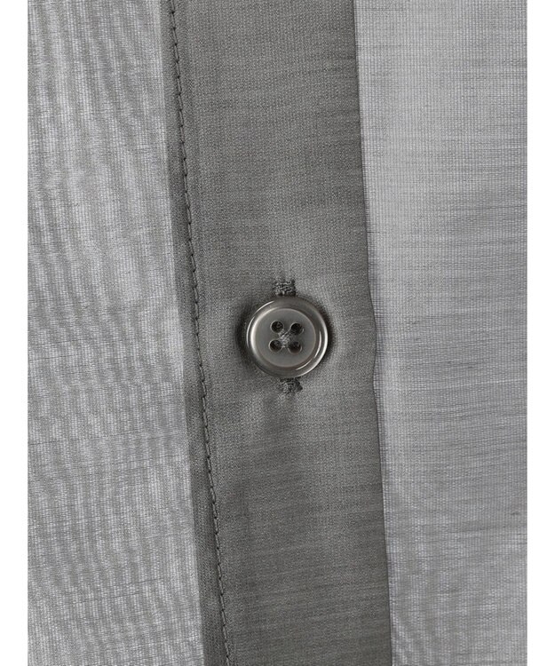 Green Parks AnriettMusee シアーボリュームスリーブブラウス Gray