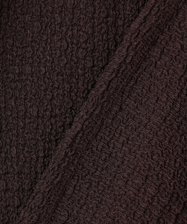 ANY L レースフレンチスリーブプルオーバー ブラウン