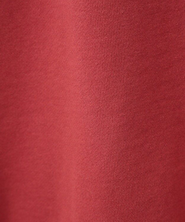 Green Parks トイストーリー／ピザフロッキープルオーバー Red