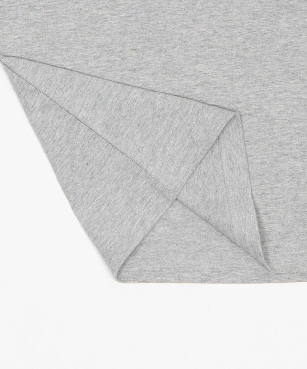 WEGO グラフィックリンガーT（SS） グレー