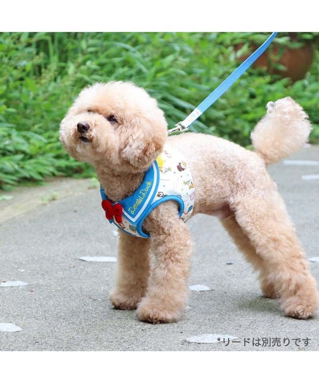 PET PARADISE ディズニー ドナルドダック 90周年 ベストハーネス ＳＳ 《パーティー柄》 小型犬 パーティー柄