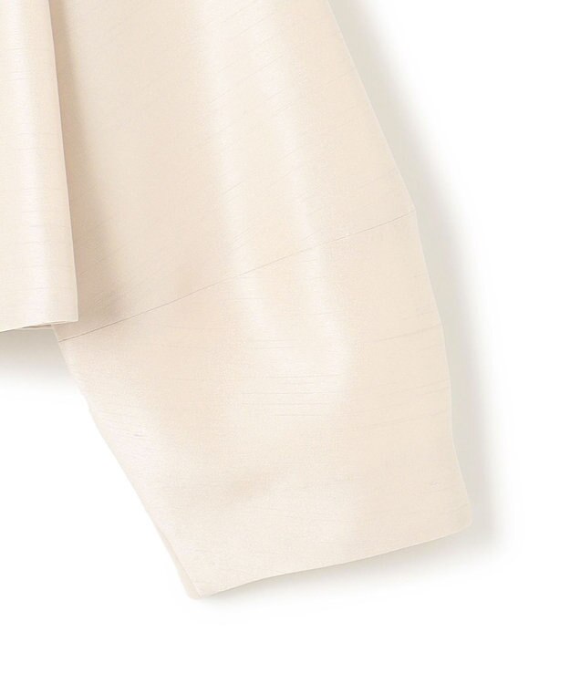 23区 【APPLAUDIR】トリアセシャンタン ジャケット シャンパン