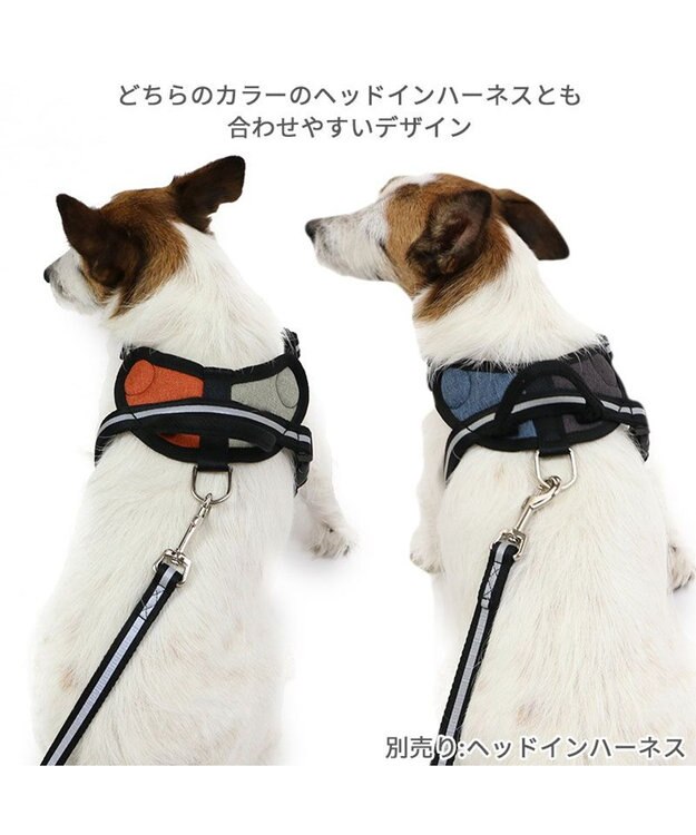 PET PARADISE 両面反射リード ブラック 120cm【ＳＳ~Ｓ】 黒