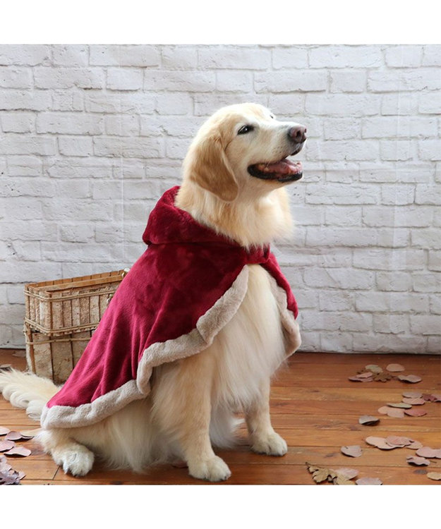 PET PARADISE ペットパラダイス ダッフルポンチョ 《レッド》 中型犬 大型犬 レッド