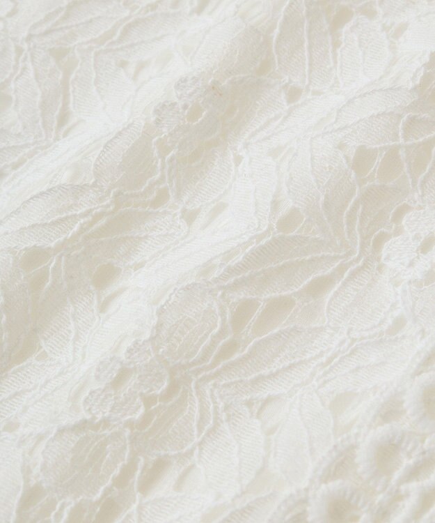 Green Parks ・Ｐｅｔｉｔ　Ｆｌｅｕｒ　フレンチレーシーブラウス Brown