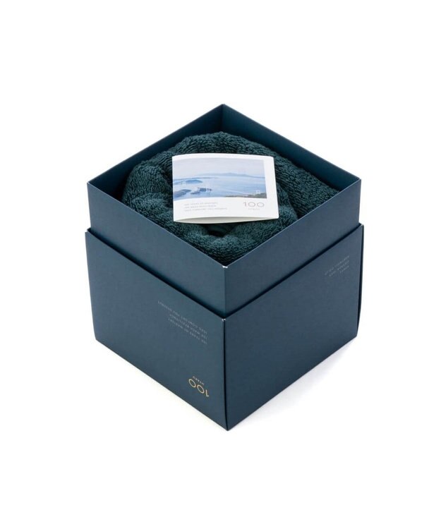 PRESENTERS ROOM 100（HYAKU） / 今治バスタオル グリーン -