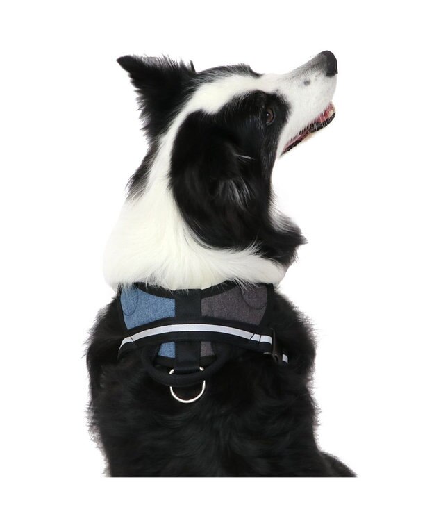 PET PARADISE ヘッドインハーネス 【Ｌ】 オレンジ / ブルー  【大型犬】 ブルー×ブラウン