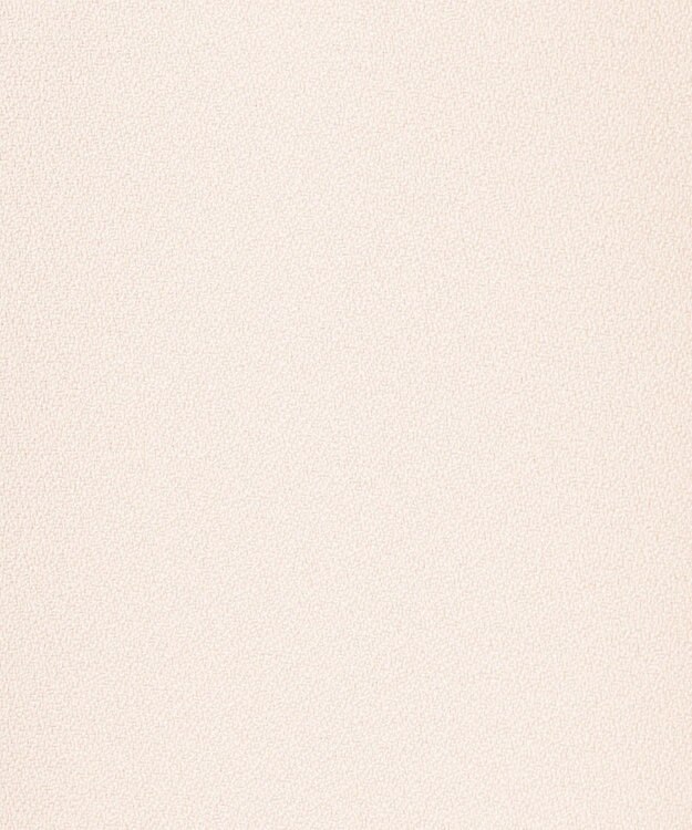 ANY 【洗濯機可】ボータイブラウス エクリュ