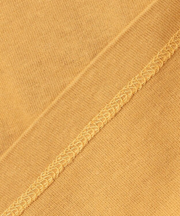 ANY KIDS 恐竜プリント 長袖Tシャツ マスタード（ブラキオサウルス）