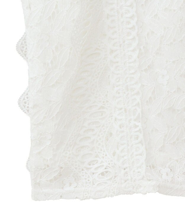 Green Parks ・Ｐｅｔｉｔ　Ｆｌｅｕｒ　フレンチレーシーブラウス Brown