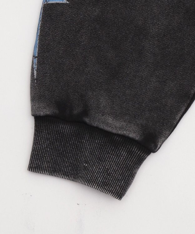 WEGO 【ユニセックス着用ITEM/MLサイズ展開】パウダーブリーチグラフィックZIPパーカー 柄3