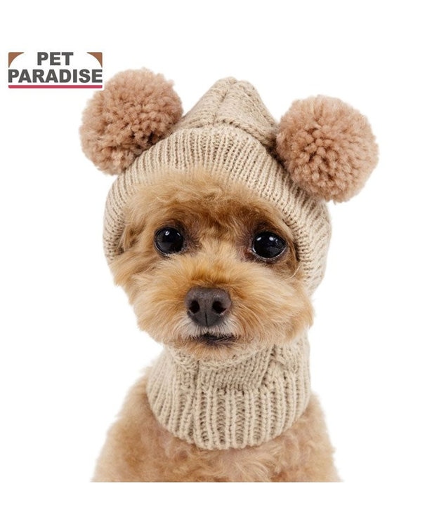 PET PARADISE ペットパラダイス くまちゃん ニット 帽子 小型犬 ベージュ