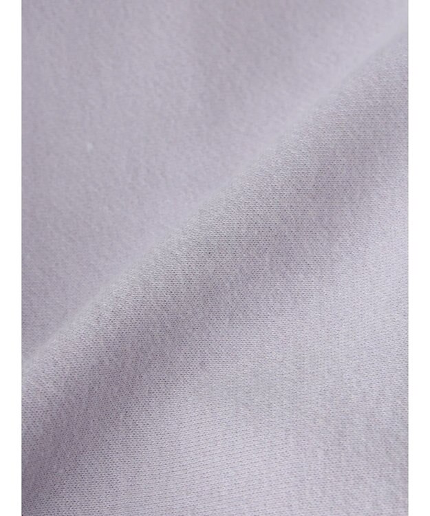 Green Parks Ｂｒｕｓｈｅｄ　センターシーム裏起毛プルオーバー Purple