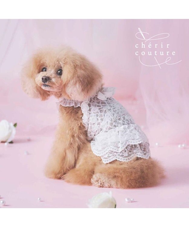 PET PARADISE cherircouture 総レース キャミソール 小型犬 ホワイト