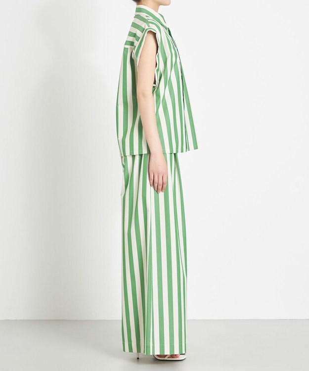 NAVE 【Nave 　洗える】ワイドストライプ　パンツ ライトグリーン系1