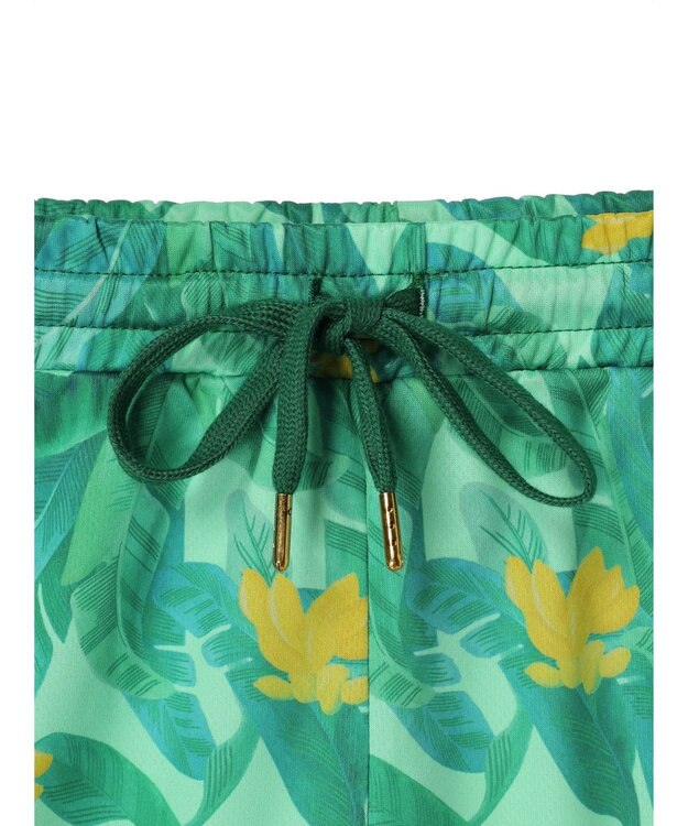 Green Parks ｍｅ　Ｊａｎｅ／プリントショートパンツ Green