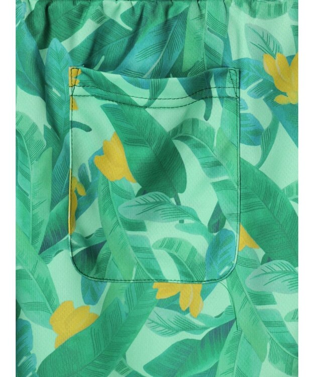 Green Parks ｍｅ　Ｊａｎｅ／プリントショートパンツ Green