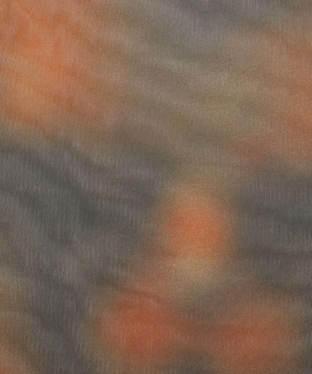 WEGO シアープリントT（LS） 柄1